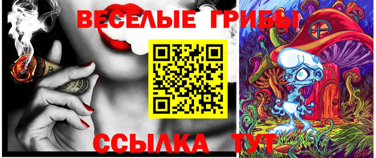 Псилоцибиновые грибы ЛСД  Вход с VPN  Заводоуковск 