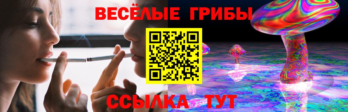Галлюциногенные грибы Psilocybine cubensis Заводоуковск